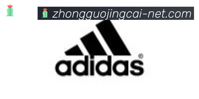 中国竞彩网合作伙伴